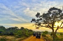Yala National Park Private Jeep Safari From Colombo & Negombo