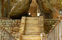 Day Trip to Minneriya National Park and Sigiriya From Pasikuda