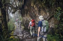 4 Days of Tour and Adventure along the Inca Trail