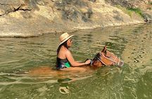 Horseback Riding: Tequila Tasting, Mex BBQ & Margaritas