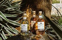 Hot Springs, Foot Massage & Tequila Tasting