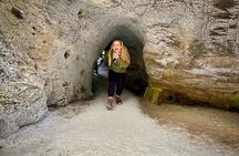 Private Banff Day Tour Lake Louise, Moraine, Peyto & More Sights!