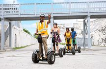 3 Hour Eco-Glide Adventure in Nassau