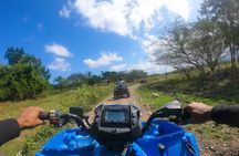 ATV Safari with Horseback Ride 'N' Swim from Ocho Rios