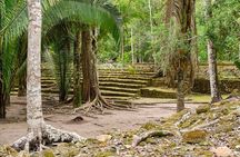 Chacchoben Mayan Ruins and Authentic Mayan Experience Combo Tour