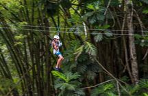 Zipline and River Tubing Adventure
