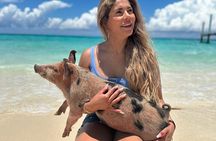 Nassau, Private Swimming Pig, Island Hopping, Snorkeling, Turtles