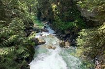 Hike and Bike the Vancouver Forests