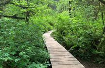 Hike and Bike the Vancouver Forests
