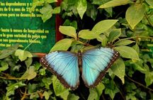 La Paz Waterfall Gardens Nature Park Full-Day Tour