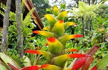 La Paz Waterfall Gardens Nature Park Full-Day Tour
