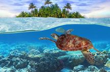 Bahamas Local Water Tours to George Town and Exuma