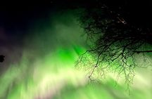 Rovaniemi: Aurora Hunting & Photography Tour