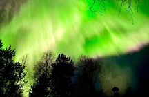 Rovaniemi: Aurora Hunting & Photography Tour