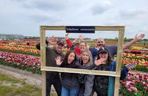 Small Group Bike Tour to Tulips Field in Lisse