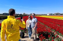 Small Group Bike Tour to Tulips Field in Lisse