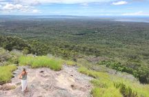 Sunshine Coast Hidden Country Delights Private Tour