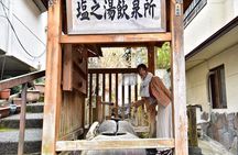 Hot Spring Town Walking Tour in Shima Onsen