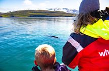 100% Whale Watching
