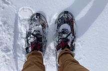 Yellowstone Snowshoe Adventure - Private Tour from Jackson Hole