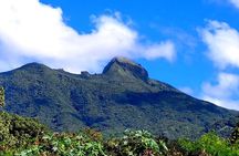 Hike St. Kitts: Highest peak Mount Liamuiga Volcano 