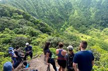 Hike St. Kitts: Highest peak Mount Liamuiga Volcano 