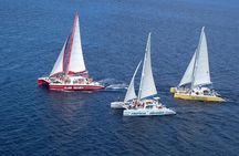 ATV, Dunn’s River Falls & Catamaran Party Cruise With Snorkeling