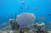 ATV, Dunn’s River Falls & Catamaran Party Cruise With Snorkeling