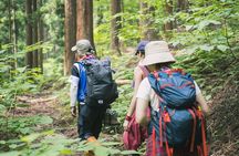 Bach Ma National Park Trekking Tour 1 Day From Hue City