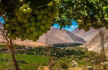 Elqui Valley Tour: Full Day History and Flavors 