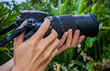 Photography Tour in Puerto Viejo