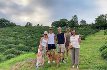 2 Hours Tea House and Tea Garden Trip in Ozurgeti Georgia