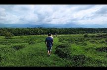 2 Hours Tea House and Tea Garden Trip in Ozurgeti Georgia