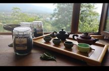 2 Hours Tea House and Tea Garden Trip in Ozurgeti Georgia