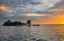Zipline, YS Falls & Pelican Bar Private Tour From Montego Bay