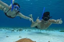 4 hours of shared snorkeling to El Cielo