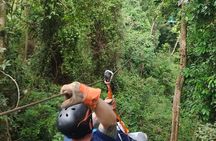 8 Days Costa Rica Rainforest & Coastal Experience for 2