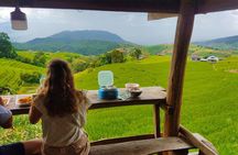 Rice fields terraces of Ban Pa Pong Piang. ( 1 day tour )