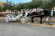 Public Group Historical Carriage Tour of Galveston