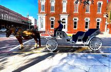 Public Group Historical Carriage Tour of Galveston