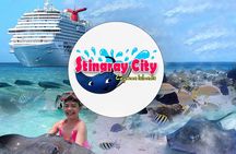 Cruise Ship Shore Tour - Stingray City, Reef Snorkel and Starfish