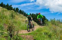 Beginner Downhill Mountain Biking Lesson in Christchurch