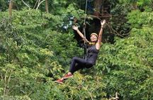 Treetops Zipline Tour with Drop off Transfer to Nadi Airport