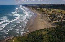 Explore West Auckland with Winery