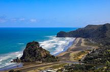 Explore West Auckland with Winery