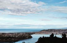 Heritage City and Larnach Castle Van tour with Historian Guide