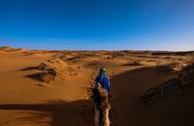 Doha Golden Dune Safari | Dune Bashing| Sandboarding| Inland sea