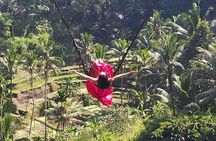 Ubud Tour : Best Of Ubud - Private Guided Tour