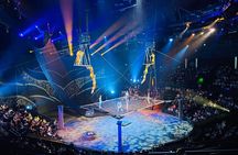 Shanghai Era Theatre Acrobatics Show with Hotel Transfer