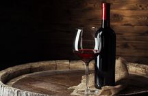 Wine Experience in farm vineyard & winery from Montecatini T.